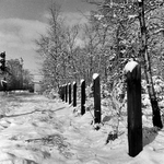 167152 Afbeelding van de omheining van de spoorlijn bij Driebergen met oude dwarsliggers, tijdens winterse omstandigheden.